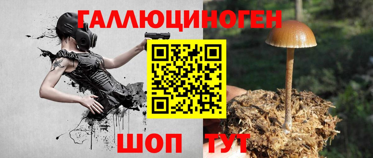 Галлюциногенные грибы Psilocybine cubensis  Вход с VPN  Москва 